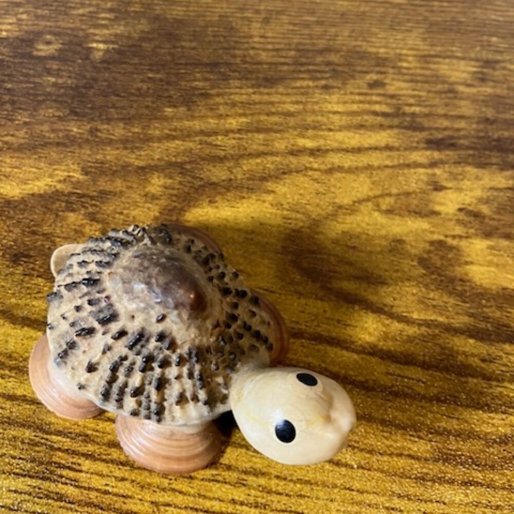 Miniture Handcrafted‎ Nautical Seashell Turtle 1" - Picture 6 of 7